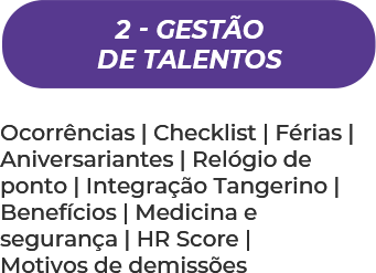 2- Gestão de Talentos