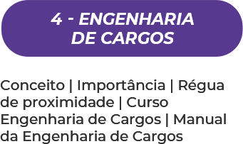 4- Engenharia de Cargos